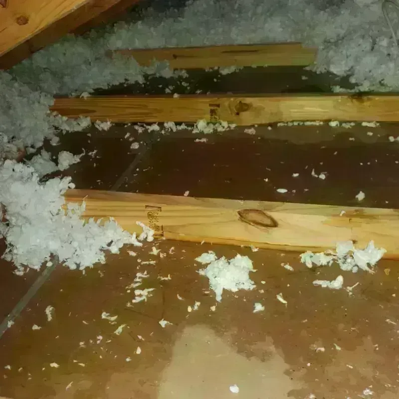 Attic Water Damage in Saks, AL